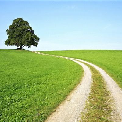 pg棋牌软件平台手机app下载