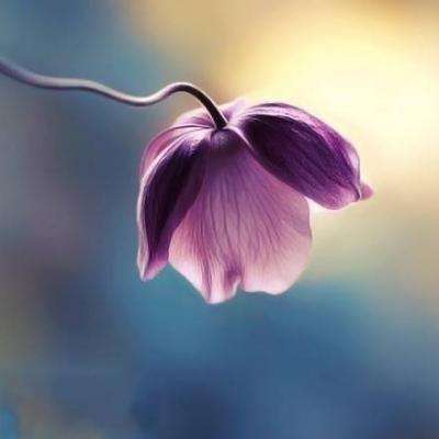 米乐m6官网登录入口app下载