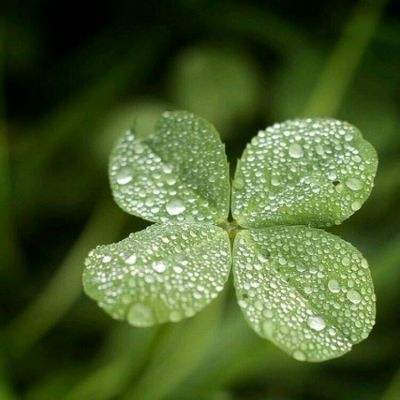 2023年新澳门今晚开特马